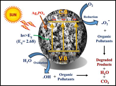 Photocatalytic degradation mechanism under visible light | Download ...