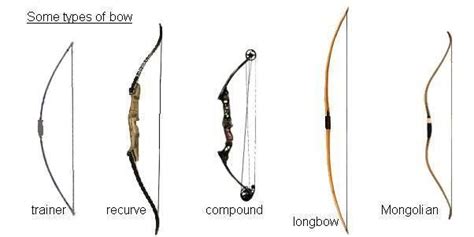 Types of Bows | Archery bows, Archery, Bows