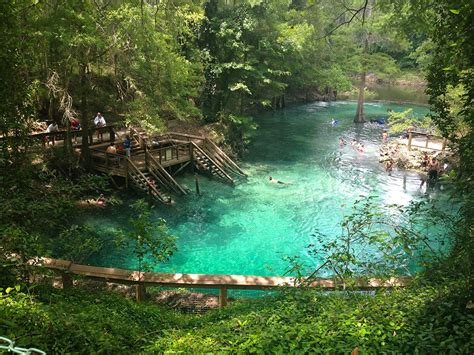 Florida Springs Camping: Ultimate Guide for Best Springs