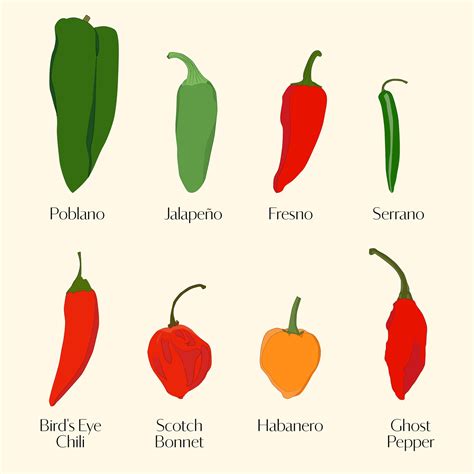 Escala Scoville De Ilustración Vectorial Infográfica De, 60% OFF