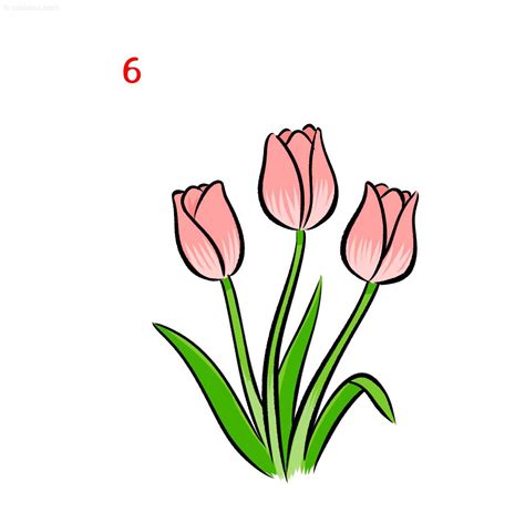 Tulip Flower Drawing Easy Step By | Best Flower Site