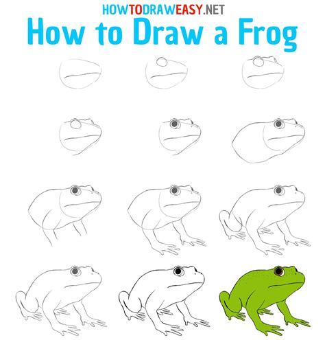 How To Draw A Frog Step By Step For Kids Easy