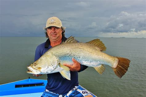 Barramundi fishing closure in Queensland — Ryan Moody Fishing