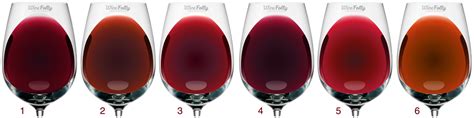 Learn The Secrets of Each Red Wine Color | Wine Folly