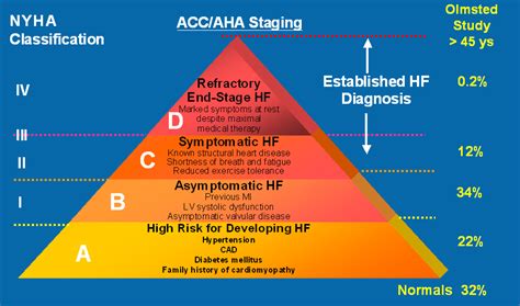 Causes Of Heart Failure Exacerbation : Lifestyle Modifications For ...