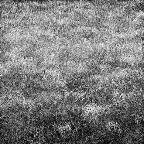 Grass Sketch at PaintingValley.com | Explore collection of Grass Sketch