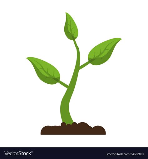 Plant growing in ground gardening symbol Vector Image