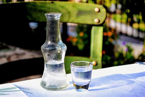 Tsipouro recipe suggestions to warm the soul - Neos Kosmos