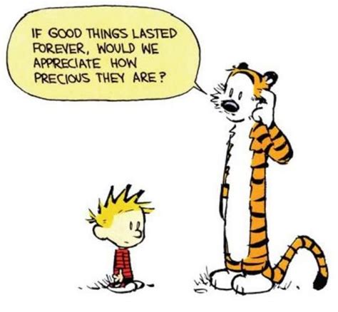 15 Things Calvin And Hobbes Said Best | Calvin and hobbes quotes, Best ...