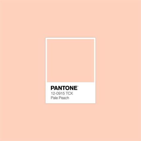 Pale Peach - Pantone | Kleurenpalet, Pantone, Kleuren