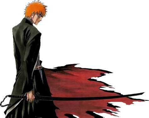 BANKAI!! - Kurosaki Ichigo Photo (3548049) - Fanpop