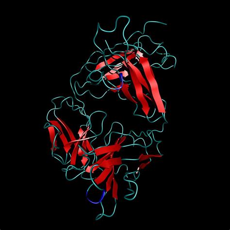 Alemtuzumab antibody molecule Photograph by Science Photo Library ...