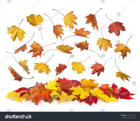 PowerPoint Template: autumn falling leaves isolated (iinnliiph)