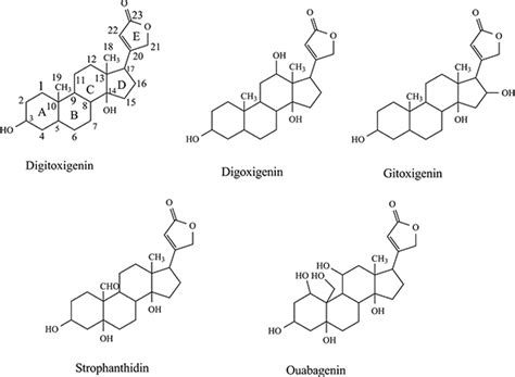 Cardiac Glycosides in Medicinal Plants | IntechOpen