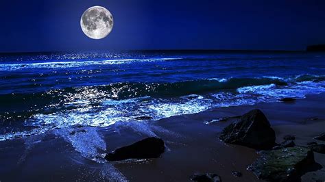 Fall Asleep On A Full Moon Night With Calming Wave Sounds - 9 Hours of ...