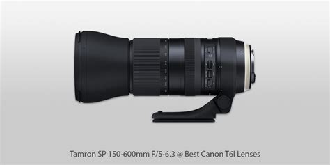 7 Best Lenses for Canon Rebel T6i in 2024