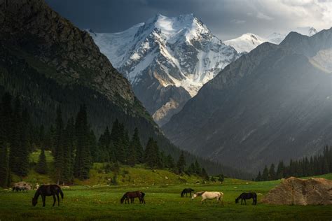 Kyrgyzstan's Untouched Natural Beauty | Moss and Fog