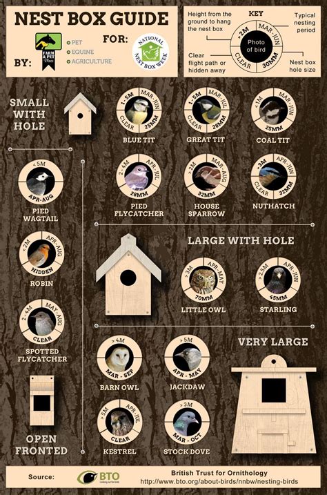 Pin by Sue Hamon on infographics | Bird houses diy, Bird house kits ...