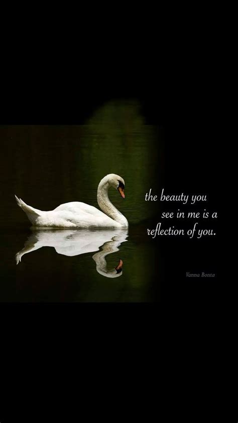 Beautiful Swan Quotes - ShortQuotes.cc