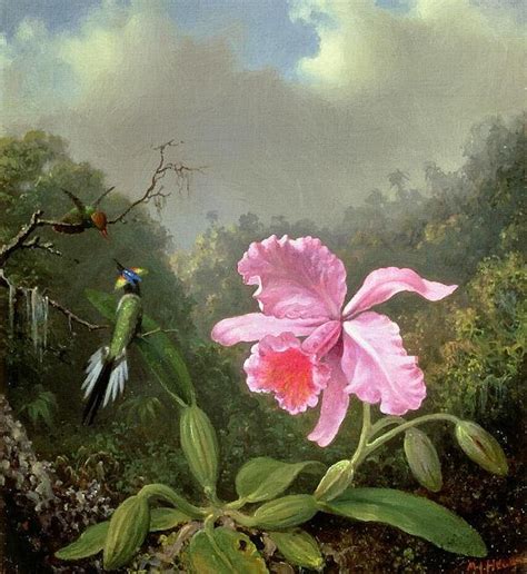 Martin Johnson Heade Orchid And Hummingbirds – Masterpieces Of Art