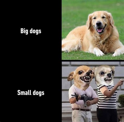 Big dogs vs small dogs - Meme by schizoidman :) Memedroid