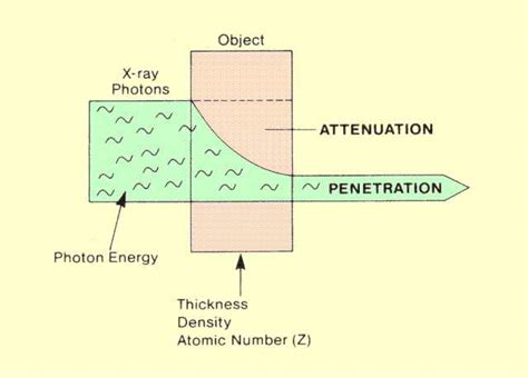 Radiation Penetration