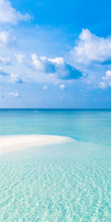 1440x2880 Tropical beach, sea, sunny day, blue sky, nature wallpaper ...