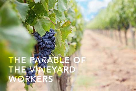 3 Life Lessons From The Parable of The Vineyard Workers