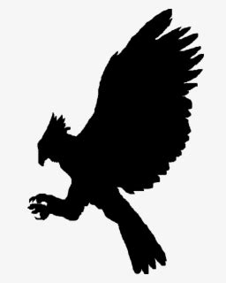 Transparent Eagle Silhouette Png - Philippine Eagle Vector Silhouette ...