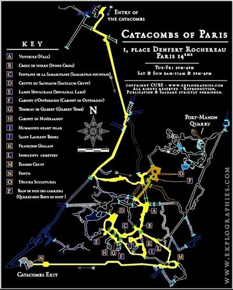 ShellHawk's Nest: The Catacombs of Paris