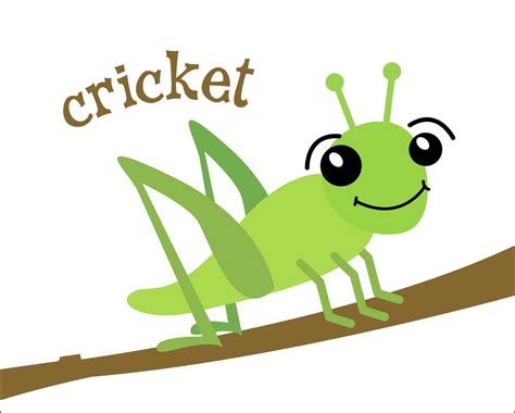 Cricket Insect Cartoon - Cliparts.co