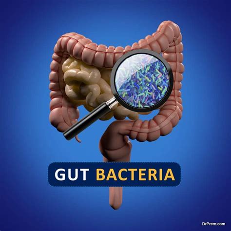 Introduction Of New Technology For Studying Gut Microbes