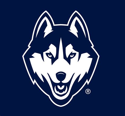 Uconn huskies fathead giant removable decal – Artofit