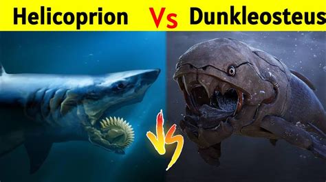 Helicoprion Vs Dunkleosteus | क्या होगा जब भिड़ेंगे Megalodon Shark से ...