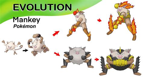 #16 Added new evolution for pokemon mankey - Fire - Stell - YouTube