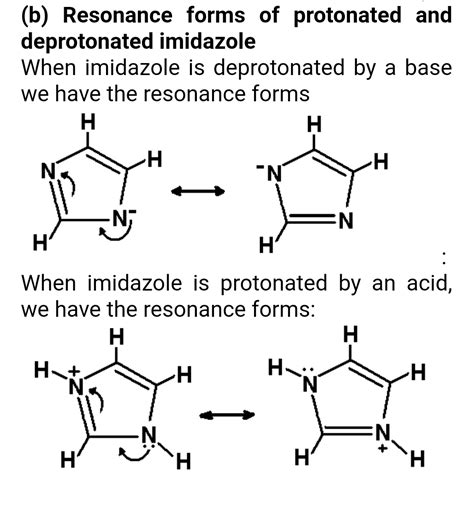 Solved: Imidazole forms part of the structure of the amino acid ...