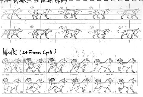 Dog Walk Cycle Animation Reference 4 legged walk cycle for animation class