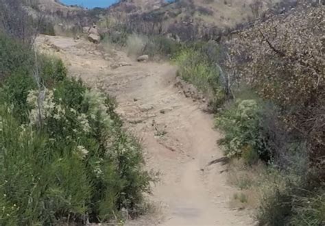 Cheeseboro Mountain Bike Trail Near Santa Clarita, California ...