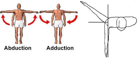 Examples Of Horizontal Abduction Google Search