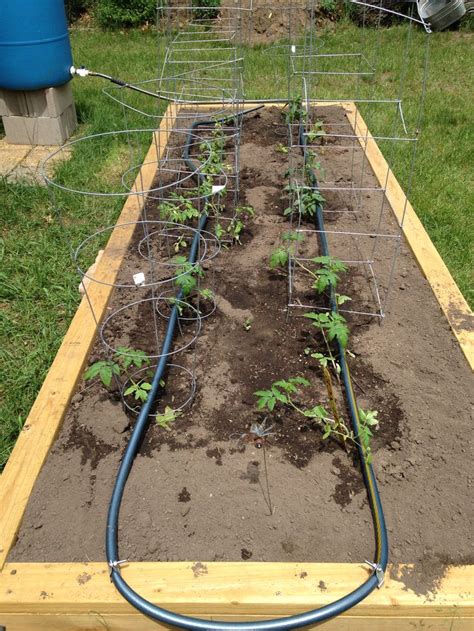 Custom drip irrigation for my lovely raised bed. | Australian garden ...