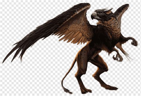 Hippogriff, Creature, Mythical, Beast, Wings, Magical, Fantasy, png ...