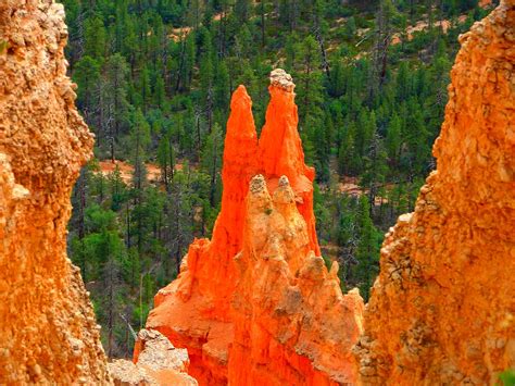 Hoodoos standing tall | Hoodoo formation at Bryce Canyon Nat… | Flickr