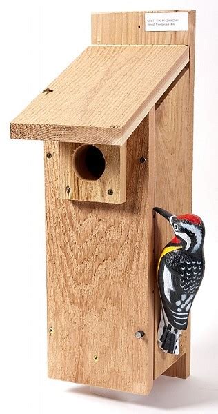 Select Cedar Woodpecker House