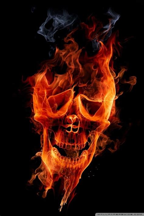 Fire Skull HD desktop wallpaper High Definition Fullscreen