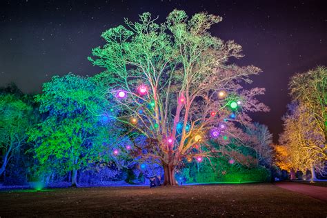 Ann Miles Blog: Anglesey Abbey Winter Lights 1. Static Shots