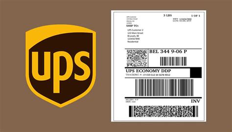 How to Print a UPS Shipping Label: UPS Shipping Labels Guide