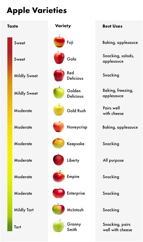 Most Popular Types of Apples: Best Varieties for Eating and Baking ...