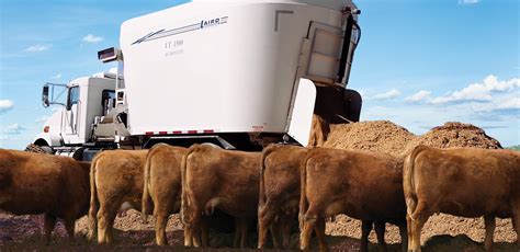 Cattle Feeding Equipment