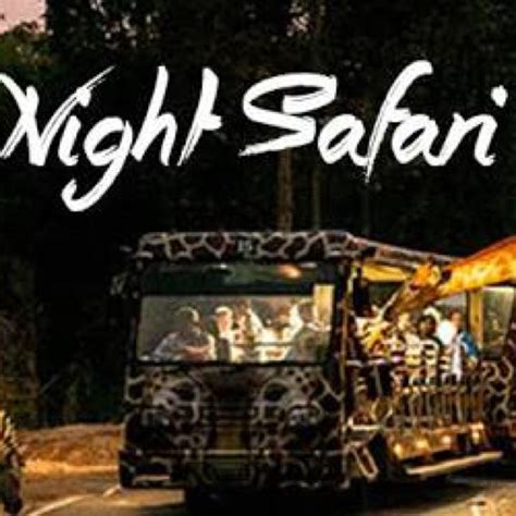 Night Safari, Tickets & Vouchers, Local Attractions & Transport on ...