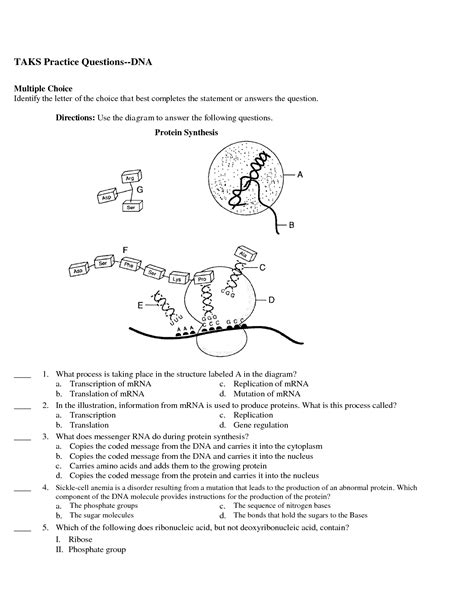 Protein Synthesis Practice Worksheets